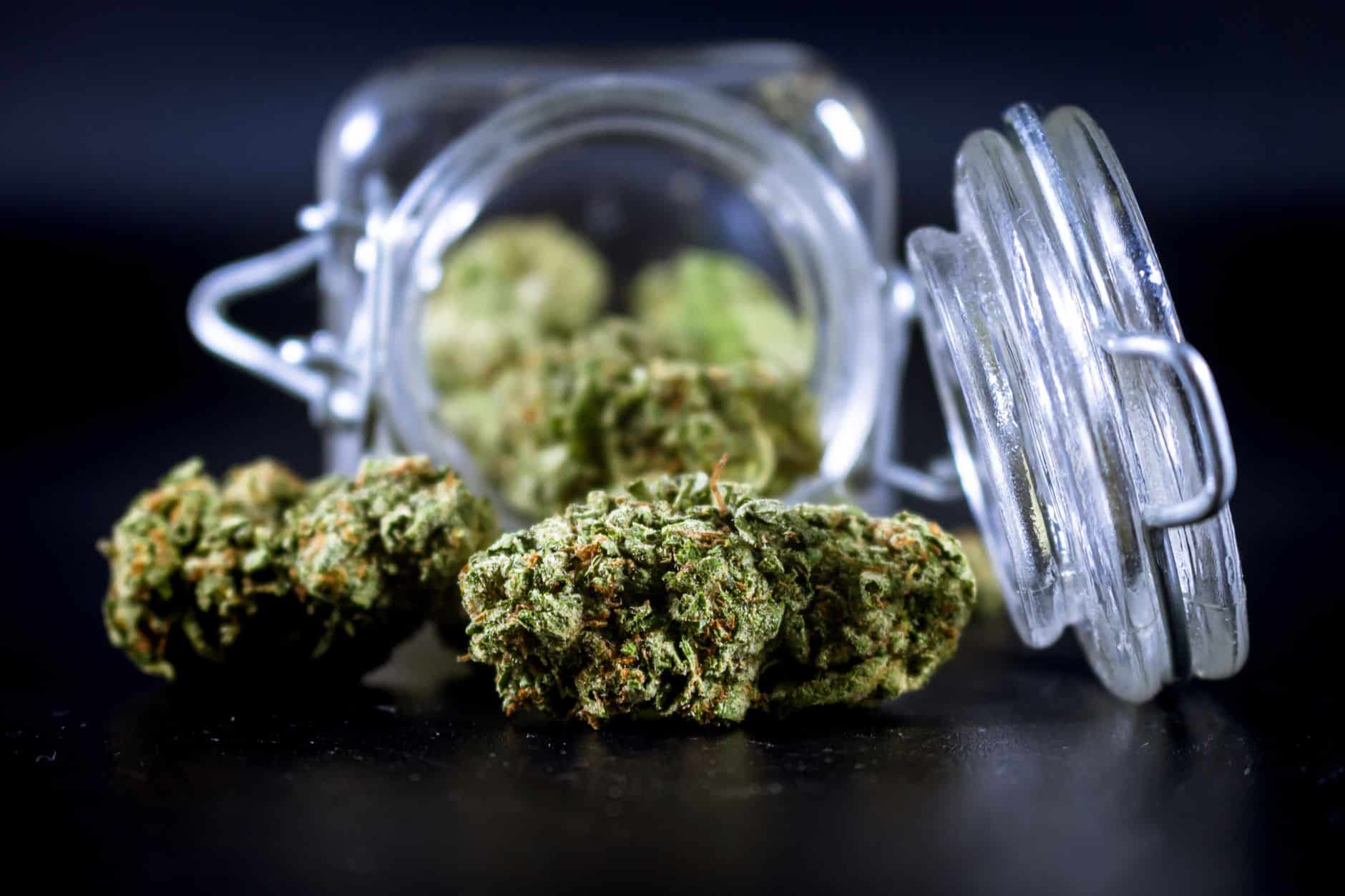 Fleurs, gummies, huiles : ce que révèlent les rappels de produits au CBD d'octobre